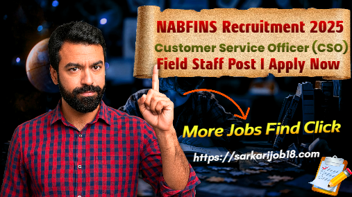 NABFINS Recruitment 2025