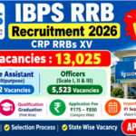 IBPS RRB Recruitment 2026